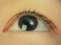 eyelashbefore.jpg